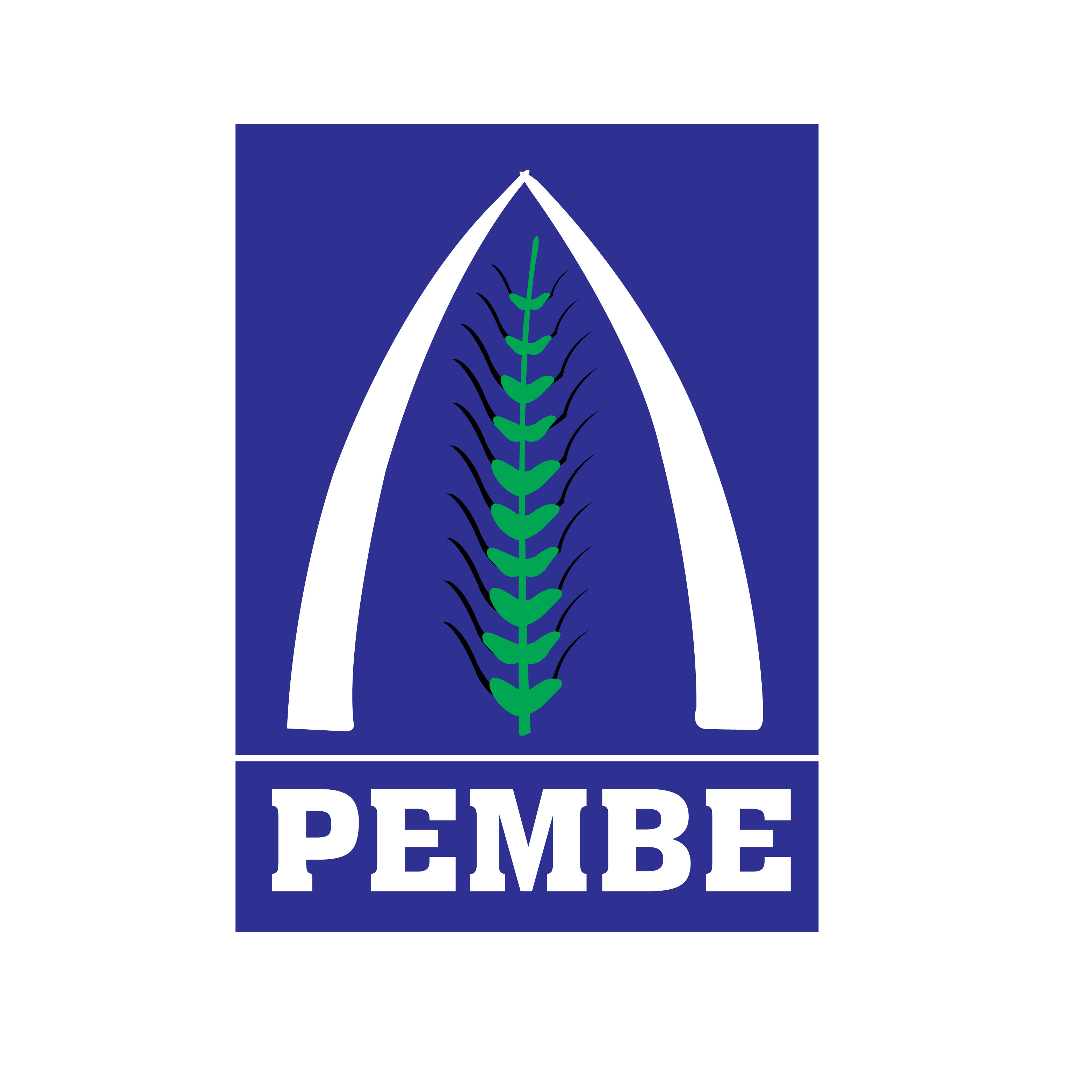 Pembe Flour Mills
